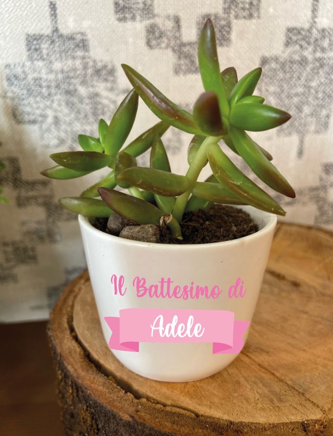 
                      
                        Vaso in ceramica bianco personalizzato
                      
                    