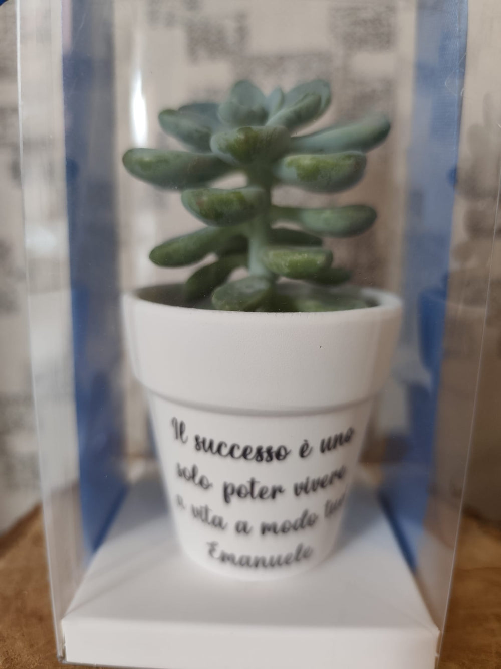 bomboniera con vasetto personalizzato