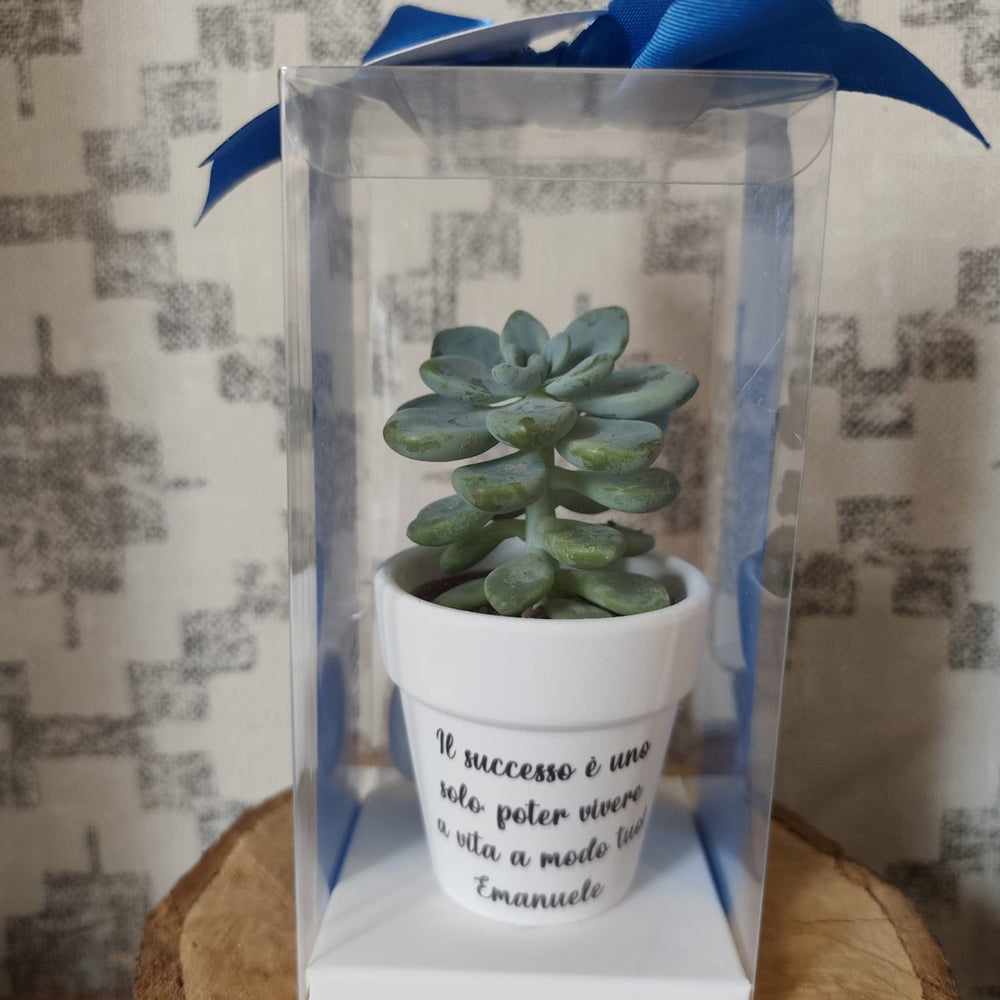 
                      
                        bomboniera con vasetto personalizzato
                      
                    